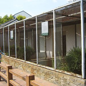 pheasant aviaries