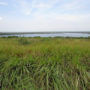 View from Queen's Pavilion
