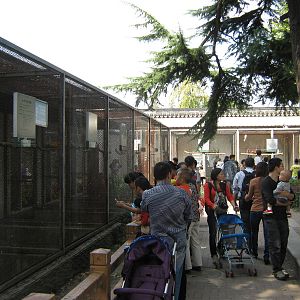 parrot aviaries