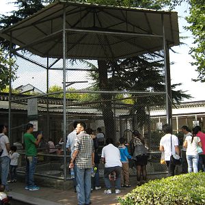 aviary for cinereous vulture (Aegypius monachus)
