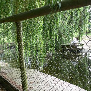 Pelican enclosure at Flamingo Land, 21/09/13