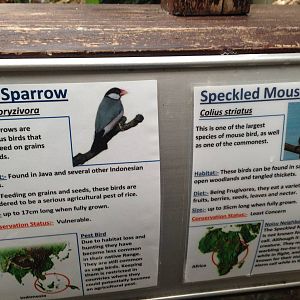 South America House Signage at Tropical World - 02/10/2013