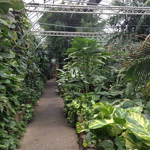 South America House at Tropical World - 02/10/2013