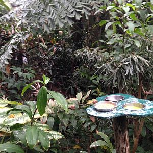 South America House at Tropical World - 02/10/2013