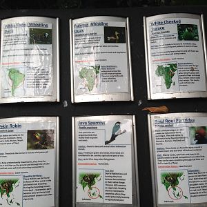 South America House Signage at Tropical World - 02/10/2013