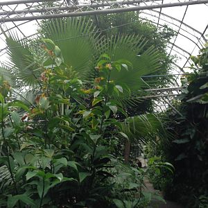 South America House at Tropical World - 02/10/2013