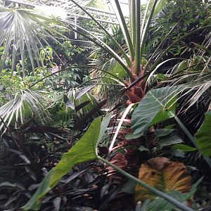 South America House General View at Tropical World - 02/10/2013