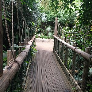 South America House Bridge at Tropical World - 02/10/2013