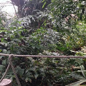 South America House at Tropical World - 02/10/2013