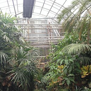 South America House at Tropical World - 02/10/2013