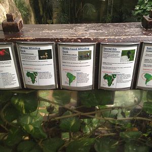 South America House Signage at Tropical World - 02/10/2013