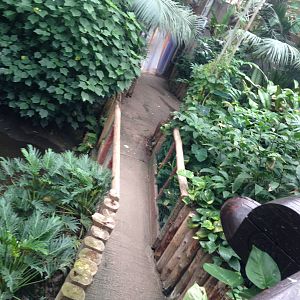 South America House Bridge at Tropical World - 02/10/2013