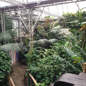 South America House General View at Tropical World - 02/10/2013