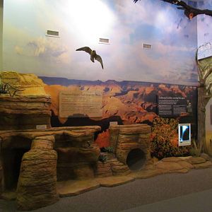 Interpretive Center