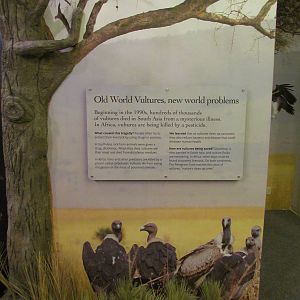 Interpretive Center