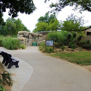African penguin (Spheniscus demersus) exhibit