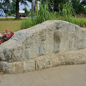 African penguin (Spheniscus demersus) exhibit