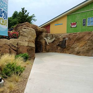 Sea Lion Cove landscaping