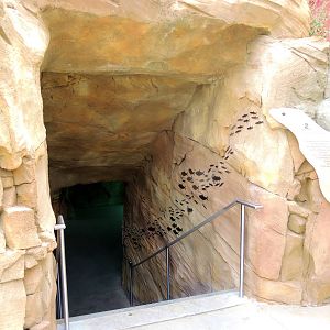 Sea Lion Cove landscaping