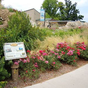 Sea Lion Cove landscaping