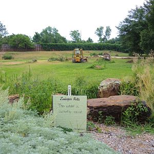 Future White rhino (Ceratotherium simum) exhibit area