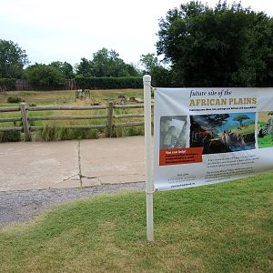 Future White rhino (Ceratotherium simum) exhibit area