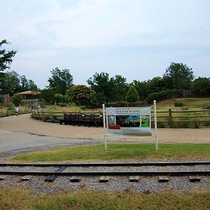 Future White rhino (Ceratotherium simum) exhibit area