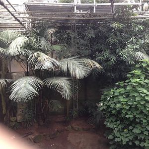 South America House Foliage at Tropical World - 02/10/2013