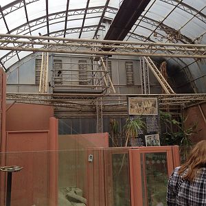 Desert House at Tropical World - 02/10/2013