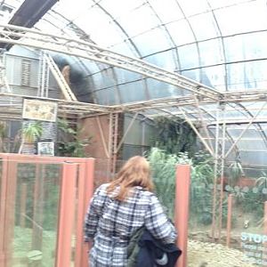 Desert House Panorama at Tropical World - 02/10/2013