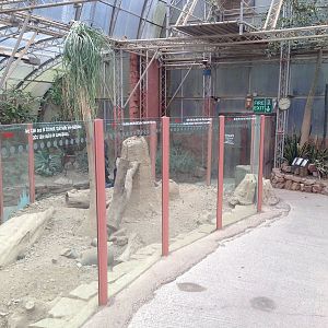 Desert House at Tropical World - 02/10/2013