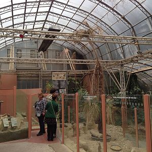 Desert House General View at Tropical World - 02/10/2013