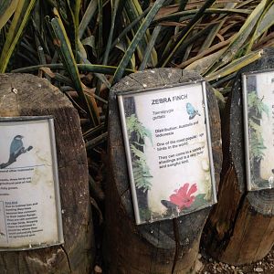 Desert House Signage at Tropical World - 02/10/2013