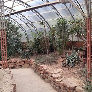 Desert House at Tropical World - 02/10/2013