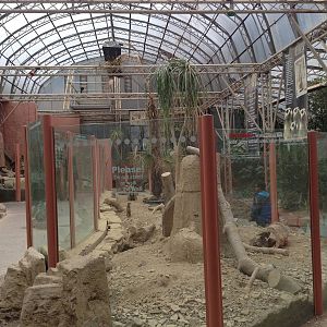 Meerkat Exhibit at Tropical World - 02/10/2013