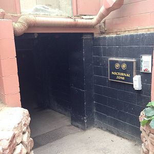 Entrance to the Nocturnal Zone at Tropical World - 02/10/2013