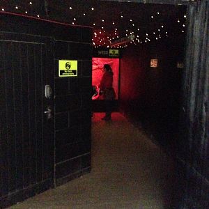 Nocturnal Zone at Tropical World - 02/10/2013