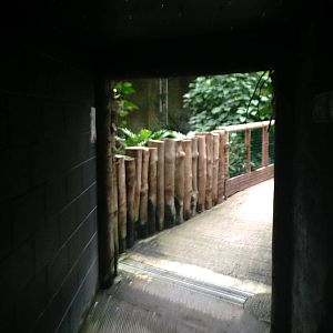 Leaving the Nocturnal Zone at Tropical World - 02/10/2013