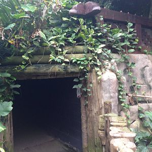 Nocturnal Zone Exit at Tropical World - 02/10/2013