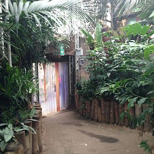 South America House at Tropical World - 02/10/2013