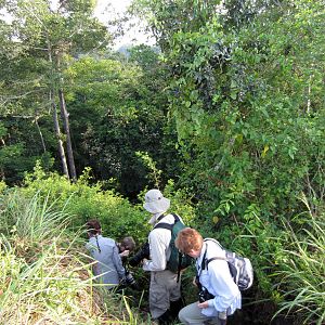 Climbing down into the gorge