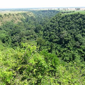 Kyambura Gorge