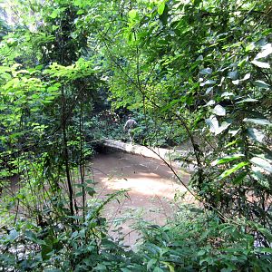 Crossing the river pt 1