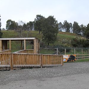 Wolverine enclosure