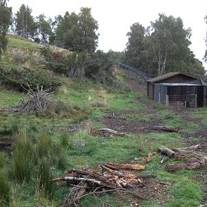 Wolverine enclosure