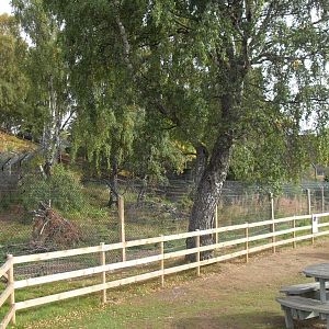 Second wolverine enclosure