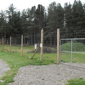 Chinese grey goral enclosure
