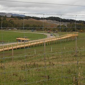 The new raised walkway