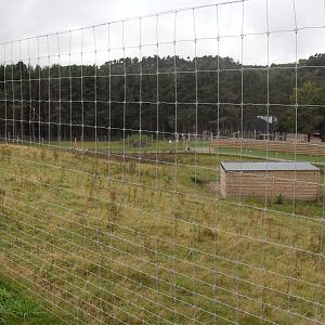 New white lipped deer enclosure