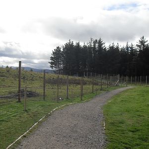 White lipped deer and Chinese grey goral enclosures.